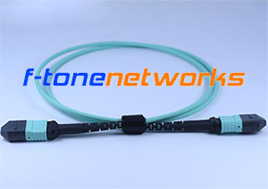 MTP, SMF, 12Core Fiber Patch Cord